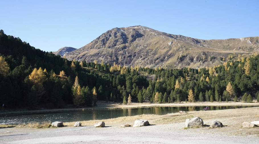 Unsere Wälder: Entkräftete Klimahelfer