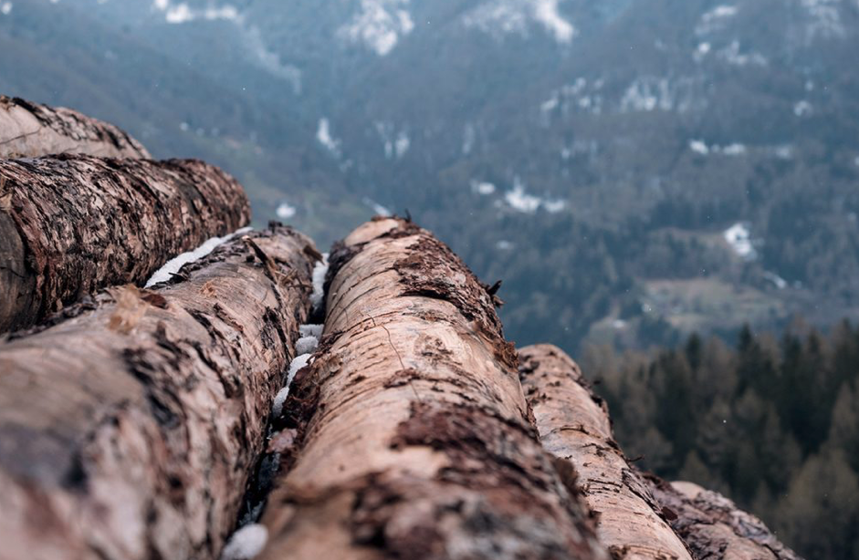 Das Holz des VAIA Cube – vom Sturm zum Klang