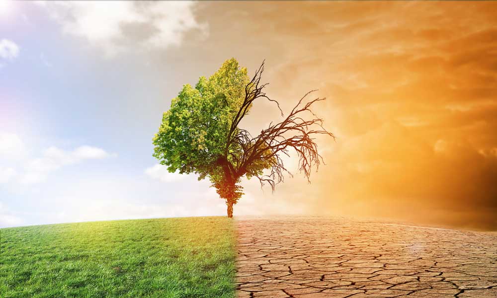 Stili di vita e cambiamenti climatici