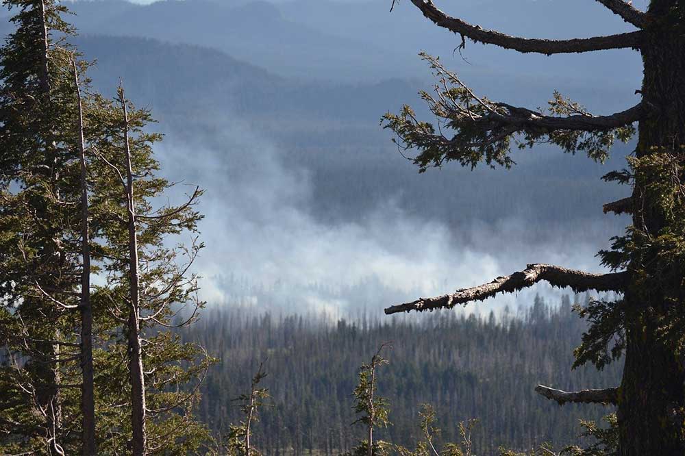 Cambiamenti climatici e disastri naturali