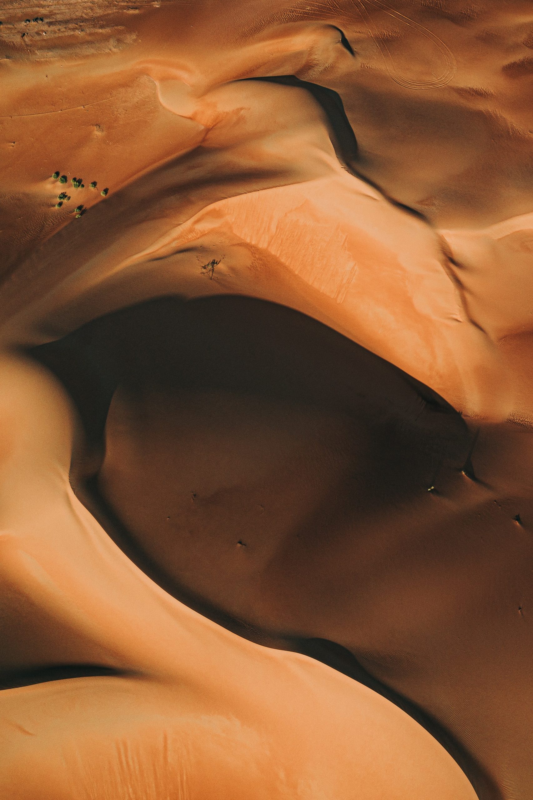 La crescente Rosa di Deserti
