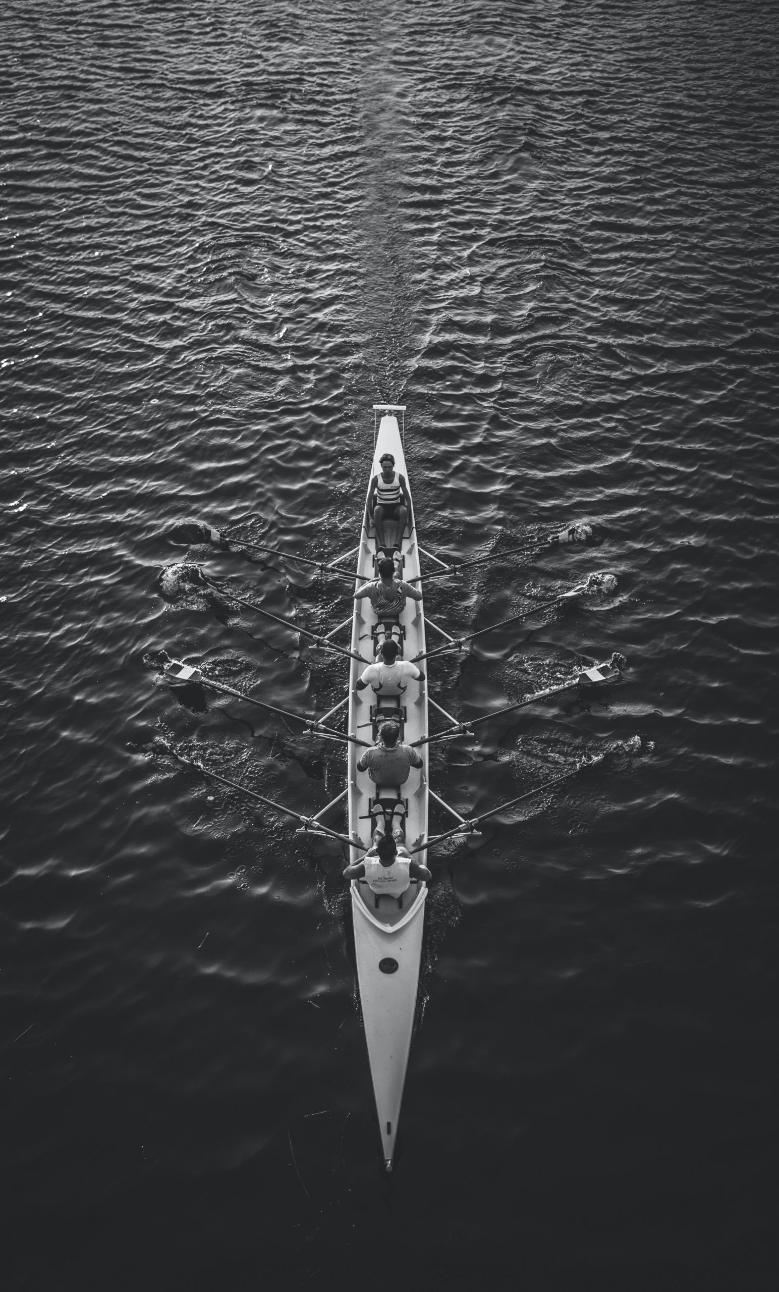 La Forza dell’Unione