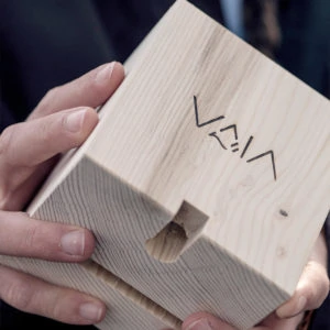 VAIA CUBE <i>imperfetto</i>