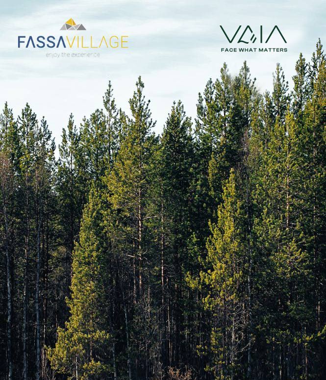 665x755-fassa-village
