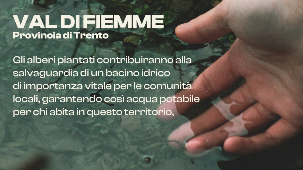 Dolomiti