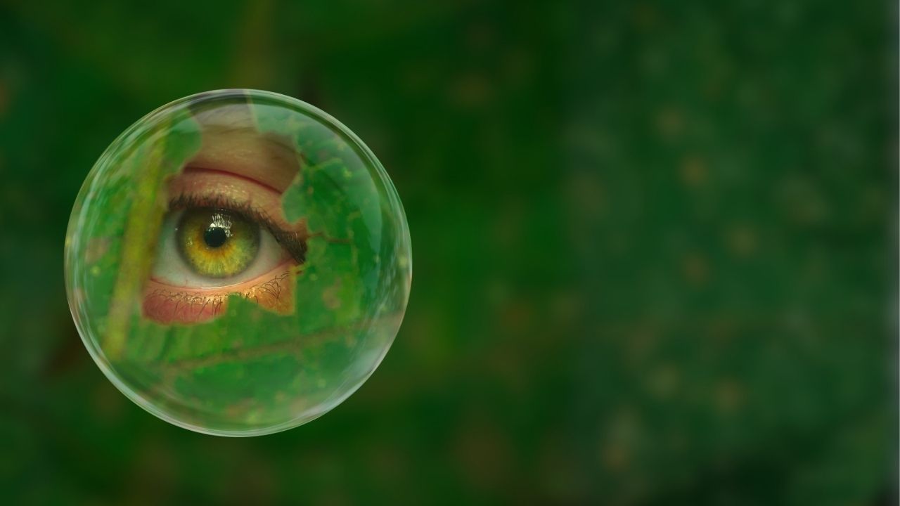 Foresta degli Innovatori 2026 – Fuori Focus