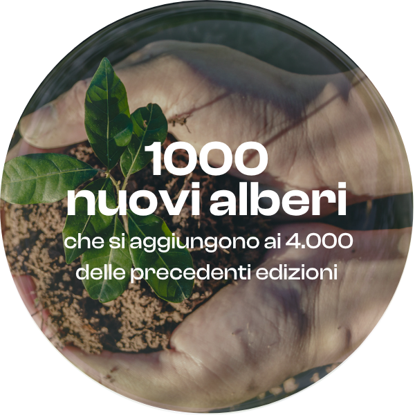 Piantare un albero, piantare un'azione